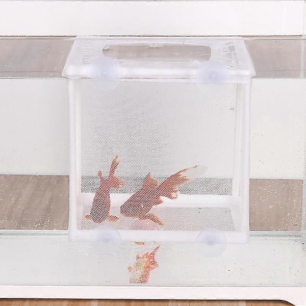 Fiskeisolasjonsboks for akvarium, Stor klekkerinett, Fiskeinkubator akvarium, Fiskeoppdrettsboks med sugekopper 26 x 15 x 15,5 cm