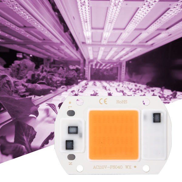 2 kpl AC110V 20W kirkas integroitu LED-siru kasvivalaisimen valonlähde COB-siruja