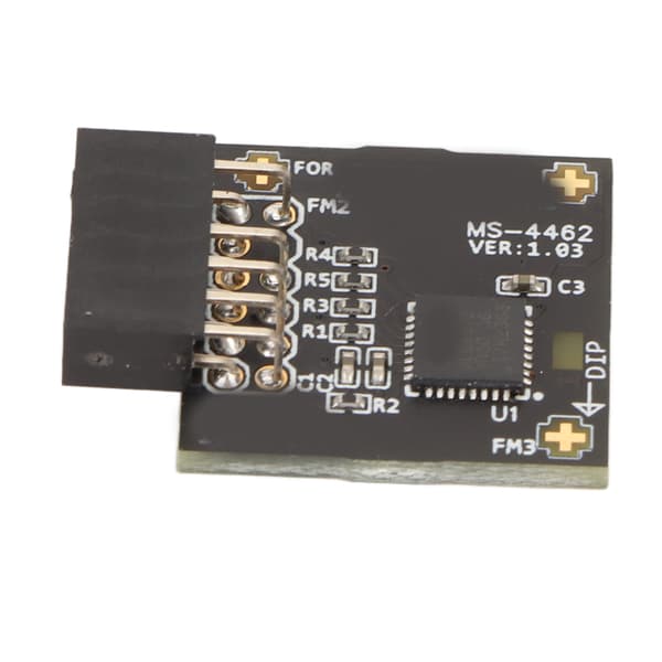 TPM2.0 Modul TPM SPI 12Pin Modul med SLB 9670 Standalone Sikkerhedsmodul til MSI Bundkort til Windows 10 11