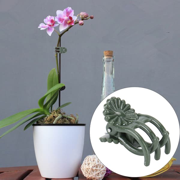 100 st växtklämmor Vacker krysantemumform Trädgårdsblommor Stjälkar Fixeringsstöd Klämmor Verktyg med stift i klämman