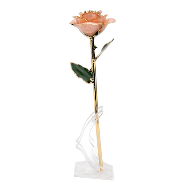 Gulddoppad ros 24K guldpläterad doppad ros med stativ för alla hjärtans dag och årsdag rosa