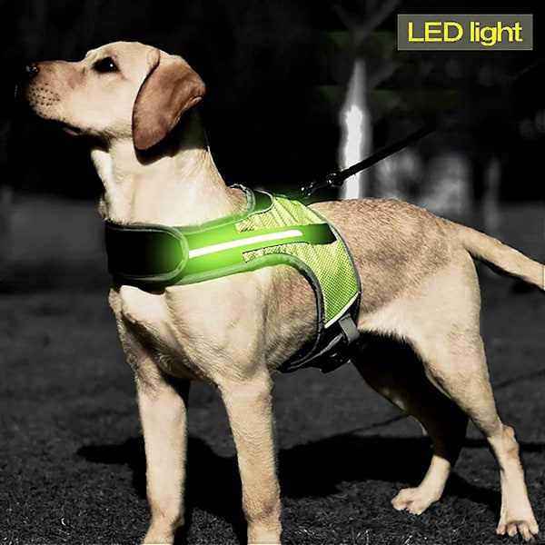 LED-valolla varustetut valjaat koiralle, lemmikin rintavaljaat, turvallinen heijastava kaulapanta, hengittävä pehmeä verkkovyö ulkoiluun ja koulutukseen (XL)