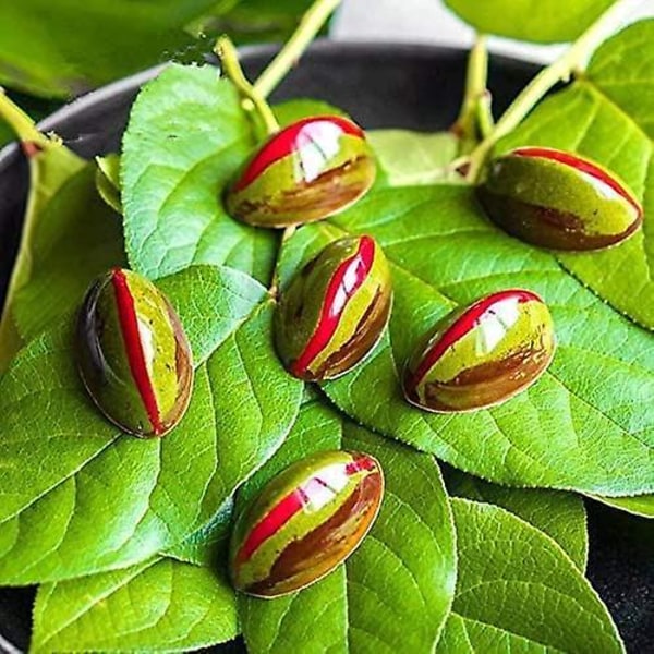 Polykarbonat chokoladeform/bageform med lotusforme