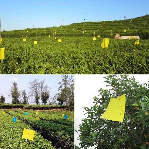 50 st dubbelsidig insektsgul fångstbräda Klibbig flygande insektslimfällor Catcher Garden