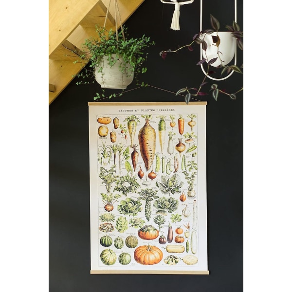 Plakat i retrostil på 30 x 40 cm med diverse grønnsaker og planter