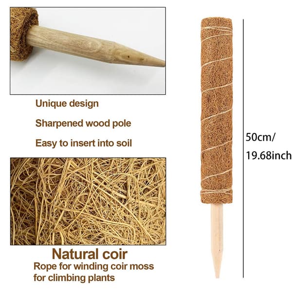 Kokosfiber Mospol Plantestøtte Kokosnøttskall Solid Spiss Bunn Kokosfiber Totempæl