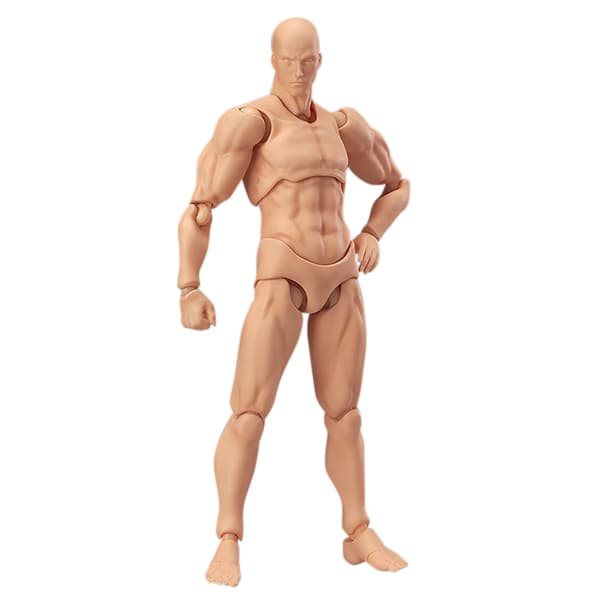Ledade skyltdockor Människokroppsmodeller PVC Rörliga actionfigurer Modeller Presenter