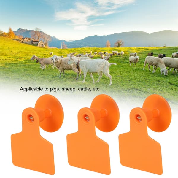 100 stk. øremærker til husdyr, nummeretiket, tilbehør til svin, kvæg, får, dyr, orange til svin 48x40 mm