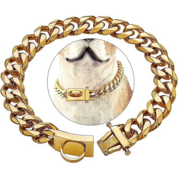 Hundhalsband i guld med säker spännedesign, tuggbeständig och kraftigt rostfritt stål, drivkedjekoppelhalsband