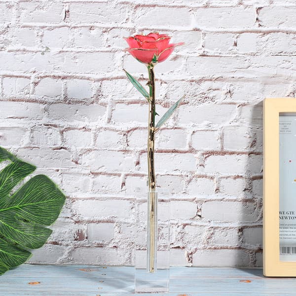 Transparent rektangulär rosenblomsbas Akryl displayställ Hemrumsdekoration prydnad