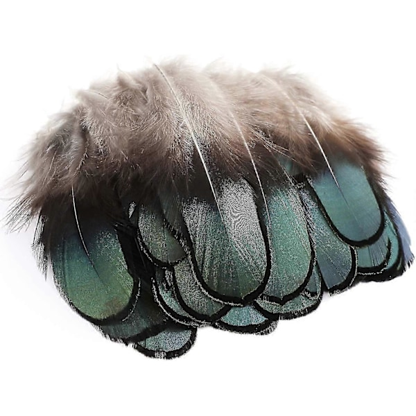 50 stk. naturlige fjer, fasanfjer til smykkefremstilling, hattepynt, show hobbykunst (5-8 cm)