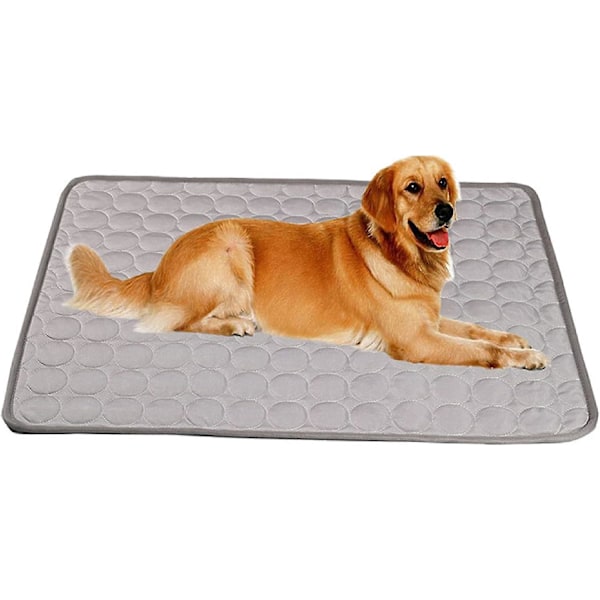 Cooling Mat for Dogs and Cats - Self-Cooling Ice Silk Blanket (50*40cm) - Gray