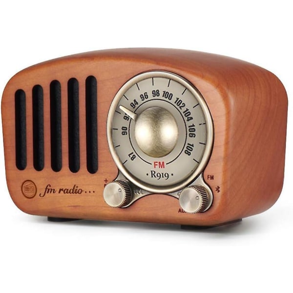 Bärbar FM-radio med Bluetooth transistor, uppladdningsbart batteri och trädekor minihögtalare