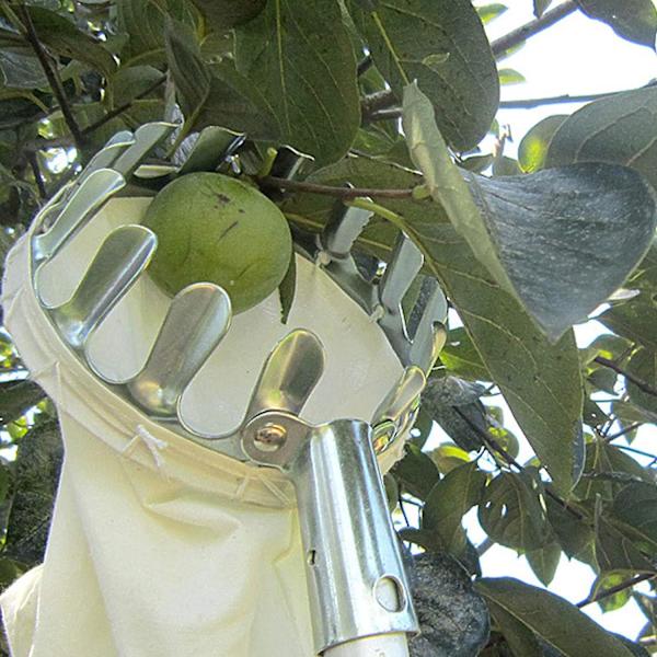 Havearbejde Frugtplukker Værktøj med Opsamlingspose - Ideel til Æbler, Citrusfrugter, Pærer, Ferskner
