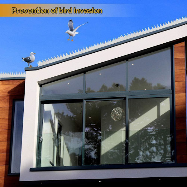 12 kpl Anti Bird Thorn Bird Repellent Anti Cat Dog Climbing Wall Window Railing Garden Fence