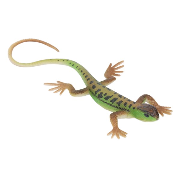Ödlor Figur Leksak Simulering Säker Målning Barn Present Reptil Modell Dekoration för Sovrum Studie Samling PL127 1511