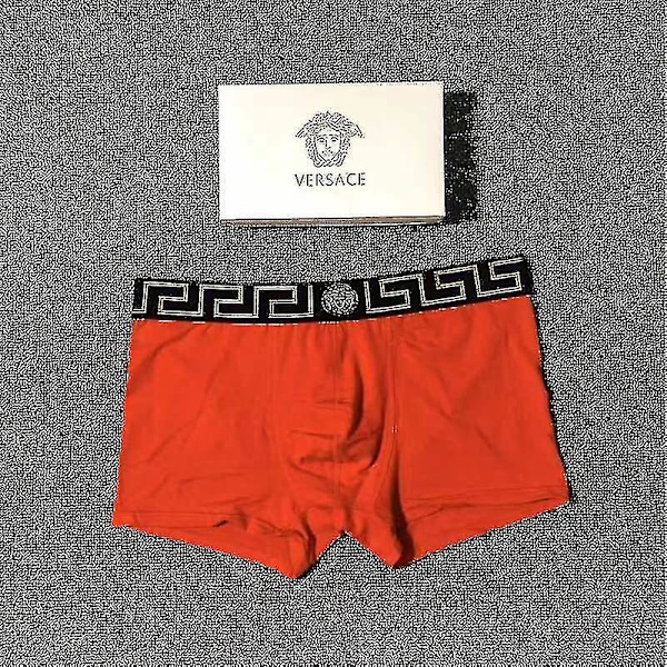 Män 4-pack Boxer Briefs Underkläder