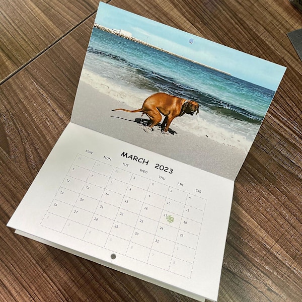 2023 Kalender, Hängbar Väggkalender Present 2023, Rolig Kalender, Skämtpresentkalender, Intressant Kalender För Presentutbyten, För Fotograf, Naturälskare