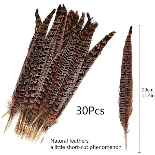 30 stk. Naturlige Fasanfjer, DIY Fasan Halefjer, 15-28 cm Blød Indfødt Plume til Hårhatte Håndværk Festdekoration Cosply Rekvisitter, Naturlig Farve