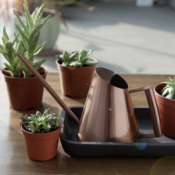 Vandkande i rustfrit stål til husholdning, have, grønne planter, blomster, bronze M