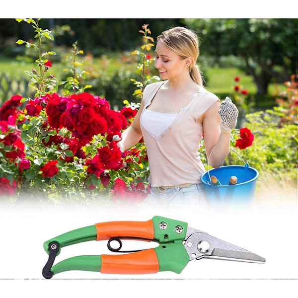 Vassa trädgårdssaxar i rostfritt stål, spetsig växtsax för plockning av blommor, växter, bonsai, frukt