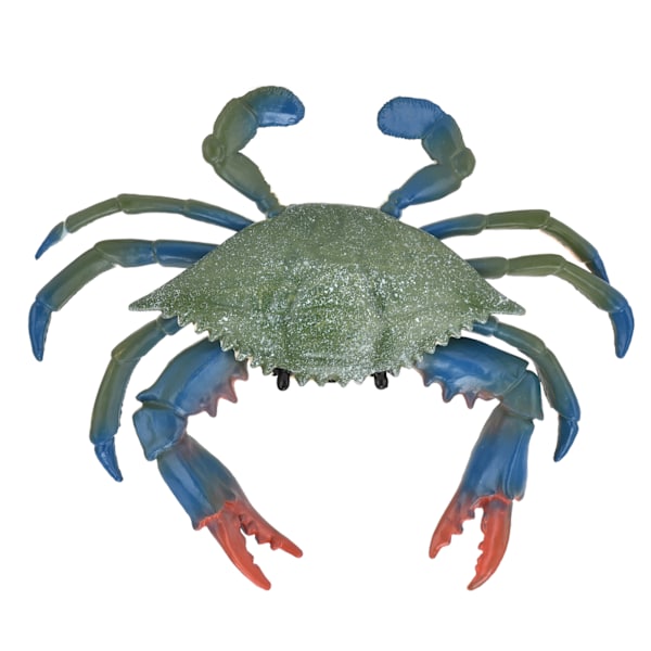 Realistisk modell av marine dyr krabbe simulert plast krabbe barnepedagogiske rekvisitter krabbeleker (PL127524)