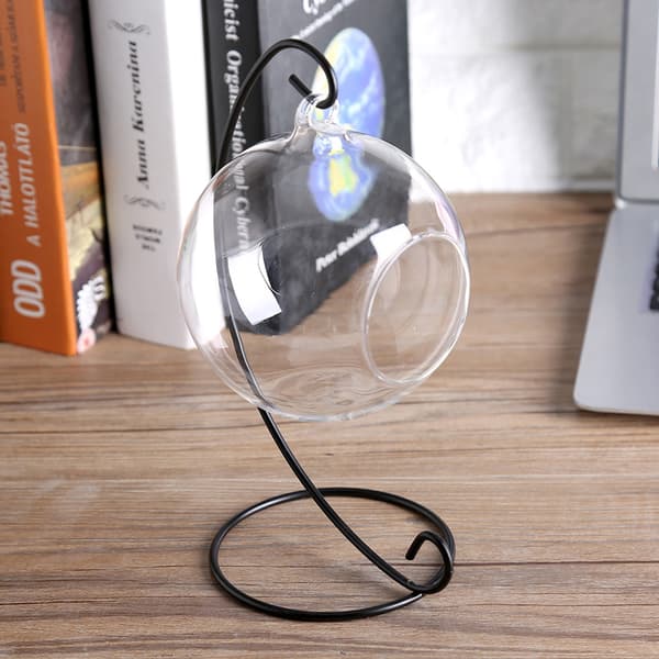 Stor Hängande Glasvas Terrarium för Luftväxter och Suckulentplanterare