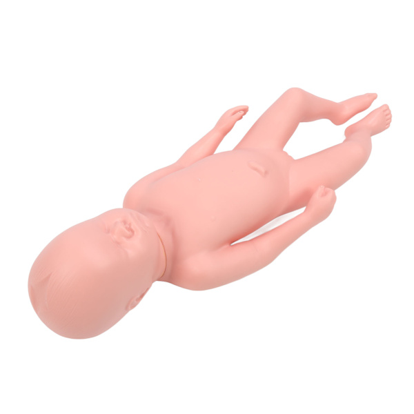 Nyfödd modell Plast Educational High Simulering Full Term Baby Simulator Modell för undervisning