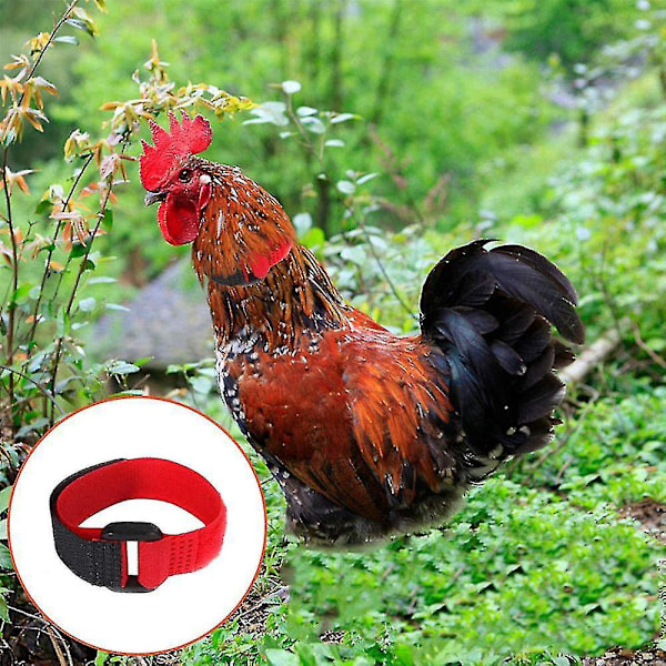 Korkea laatu pehmeä tekstuuri kana kaulus - Säädettävä Anti-Crow & Anti-Hook kukko kaulus siipikarjan tarvikkeet 2PCS musta