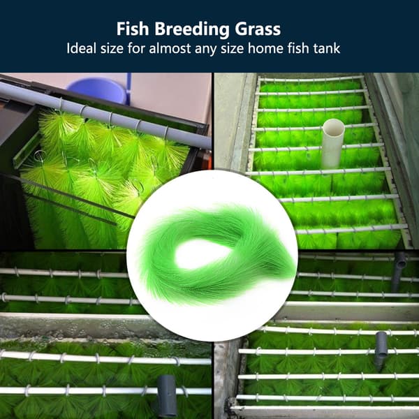 Dekorativt fiskeoppdrettsgres for akvariefisketank (100 cm)