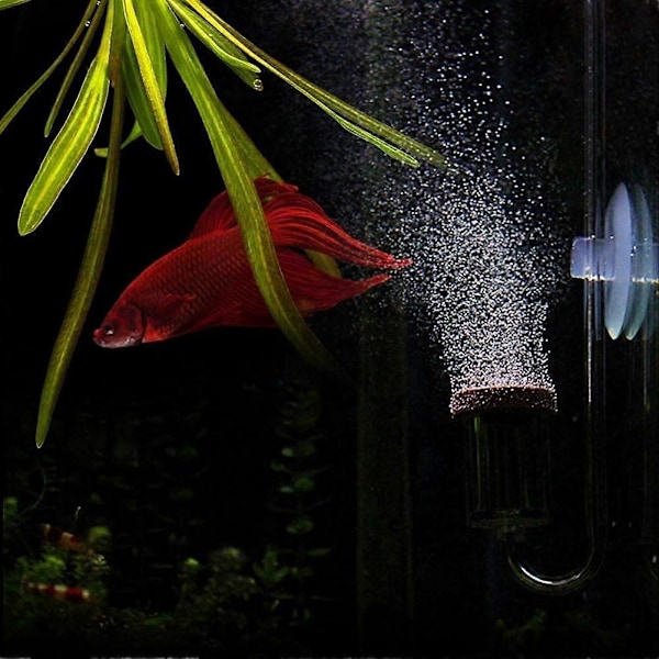 Akvarium Kuldioxid Transparent Bobletæller Refiner Akvariefisk Vandplanter (S)