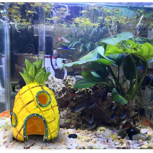 Akvarium dekorationer Ananas Cave Resin Ornament Aquarium Tema Dekoration Tilbehør