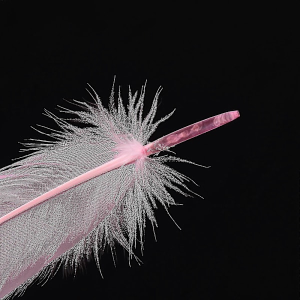 50 stk. Hvide & Sorte & Pink Gåsefjer 15-20 cm Naturlige Fjer Til Forskellige Håndværk Og Beklædning Yj5-2 Pink