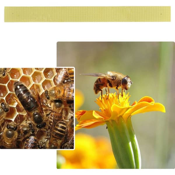 40 Fluvalinate anti-varroa strimler for bikuber, effektiv birøktbehandling mot midd, 40 stk