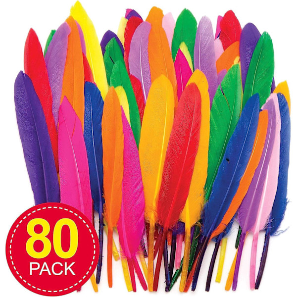 80-Pak Assorted Mini Fjer til børns Crafting Supplies