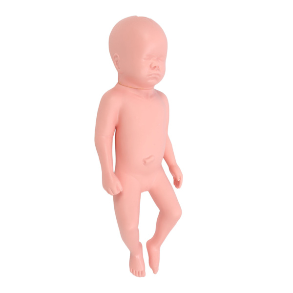 Nyfödd modell Plast Educational High Simulering Full Term Baby Simulator Modell för undervisning