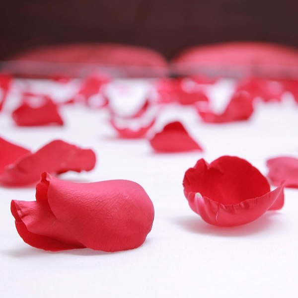 Tummanpunaiset ruusun terälehdet romanttiseen hääseremoniaan ja ystävänpäivään