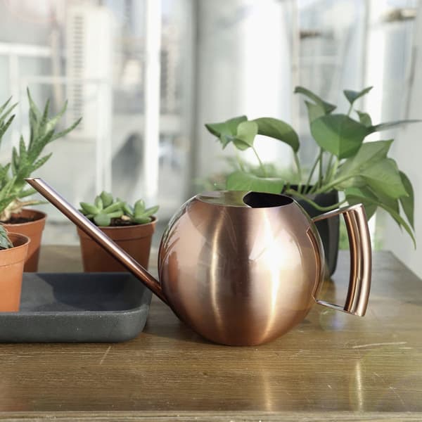 1000 ml vandkande i rustfrit stål med lang tud til haveblomster og planter, bronze