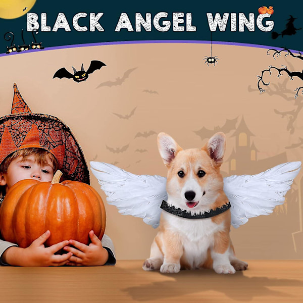 Sort og hvid engelvinge kostume til katte til Halloween fest