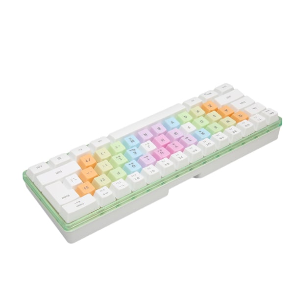 61 tangenter Mekaniskt tangentbord RGB Bakgrundsbelysning Färgglada Keycaps Mini Wired Mekaniskt tangentbord för spel Kontorsarbete Vit