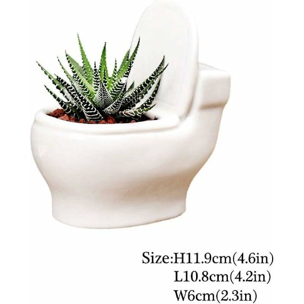 Rolig Keramisk Suckulentformad Blomkruka Söt Keramisk Vas Blomkruka Bonsai Blomkruka Heminredning Blomkruka Mini Skrivbordsdekoration