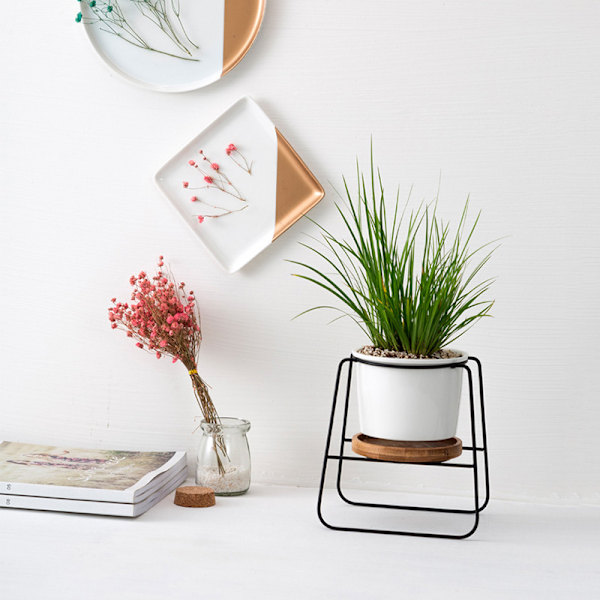 Sukkulente potter med stativholder Hvid moderne keramisk blomsterkrukkepotte Sort jernstativ Bambusbakke Hjemmekontor Indendørs dekoration