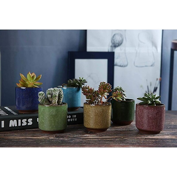 T4U 6.5CM Keramiska Suckulentkrukor Crackle Serie Suckulent Växt Kaktus Blomkruka Odla Planter 1 Förpackning med 12 Gåva för Födelsedag Bröllop