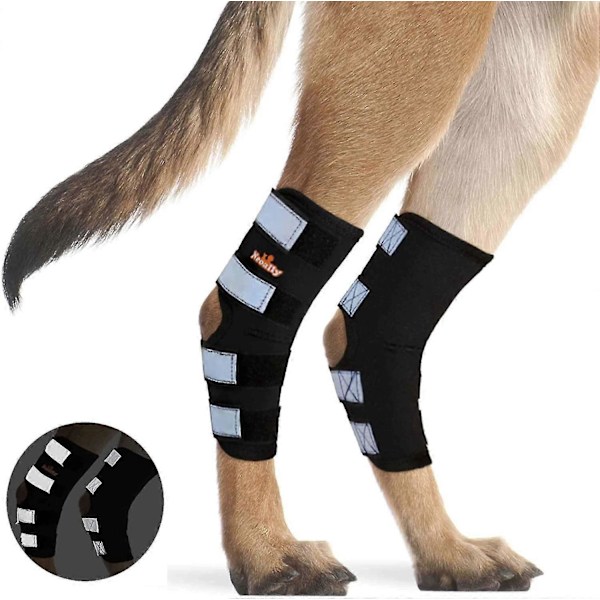 1 Par Hund Bakben Stöd Canint Bakre Hasledsstöd Med Säkerhetsreflexband För Ledskada Vrickningsskydd -JRZD XL