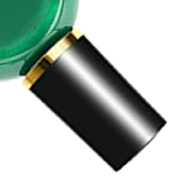 Nagellack 10ml Mättad Ljus Färg Elegant Stil Snabbtorkande Långvarigt Snabbtorkande Nagellack E049-16