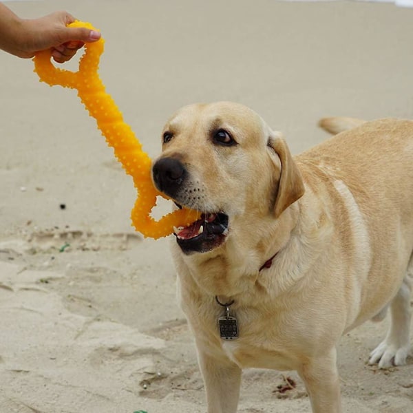 Keltainen interaktiivinen koiralelu kuperalla pinnalla ja puremankestävällä vetorenkaalla