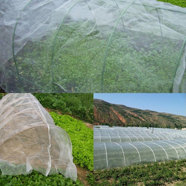 Nylon Beskyttende Net Fugle Insekt Net Fjerkræ Plante Haveafgrøde Frugt