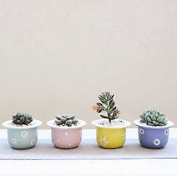 Mini Suckulent Blomkrukor - Modern - Kaktus - Saftig Blomkruka - Dekoration För Interiör, Hem, Kontor (Rosa)