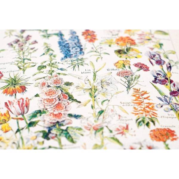 Vintage Flowers -juliste (30x40 cm)