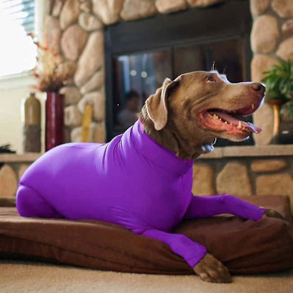 Lemmikin Koiran Leikkaus Toipumispuvun Zip Jumpsuit Violetti M